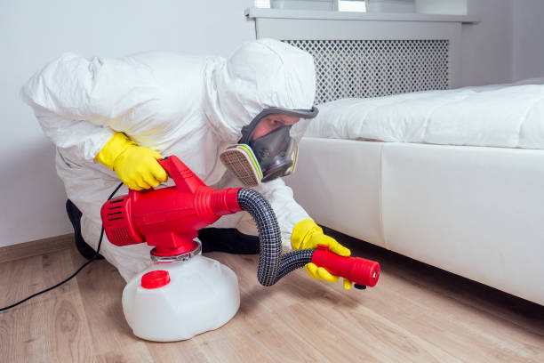 Best Insect Control  in Gloverville, SC